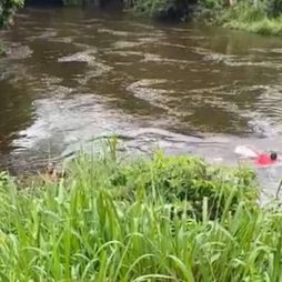 Vídeo: sem passarela, moradores de Mocotó do Imbé atravessam rio nadando