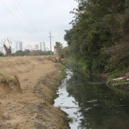 Geógrafo diz que limpeza e manutenção do Canal Campos-Macaé são “inócuas”