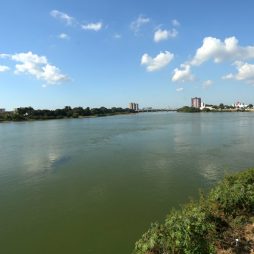 Laboratório da Uenf afirma que cianobactéria em água do rio Paraíba demanda atenção aos órgãos ambientais e concessionária